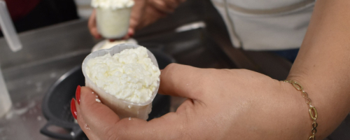 Warsztaty w przydomowej Serowni Moniser